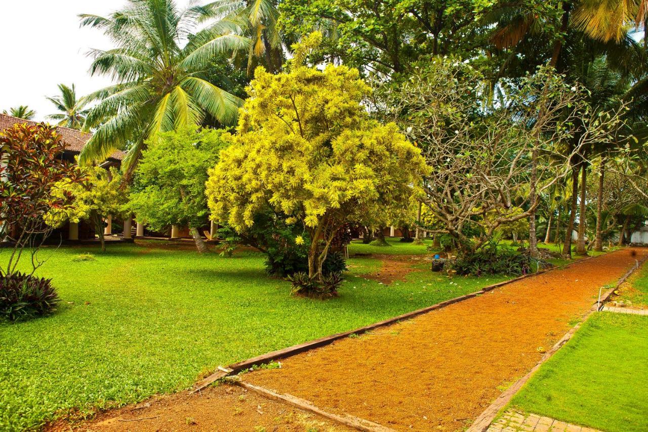 Yoho Rivi Ras Hotel Dehiwala-Mount Lavinia Dış mekan fotoğraf